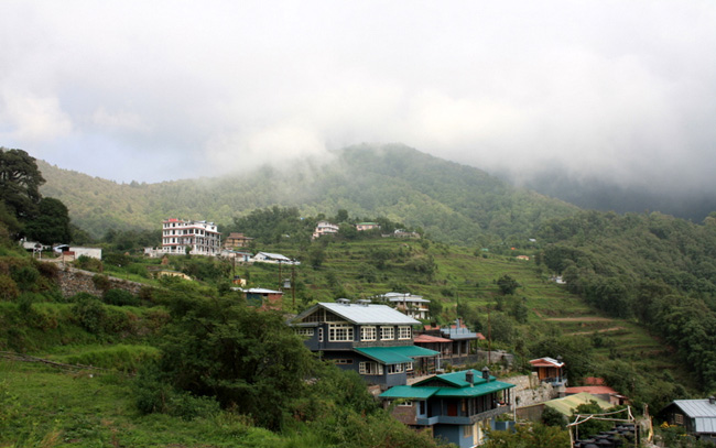 Pangot Uttarakhand Tourism & Travel Guide & Things to Do