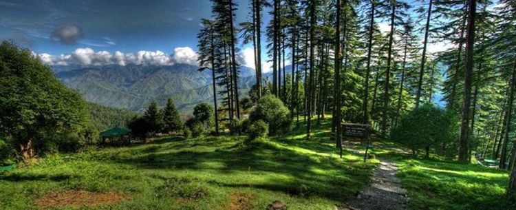 Dhanaulti