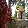 Ranikhet