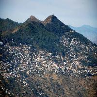 Pauri