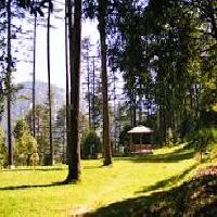 Dhanaulti