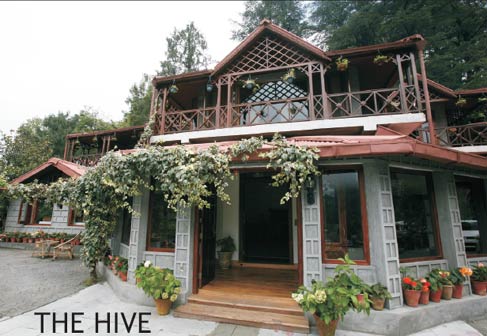 Tariff Of The Hive Cottage In Nainital And Contact Number