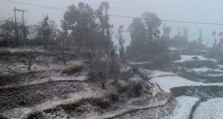 Book Trip to Dhanaulti Tours Travel Packages Holidays C
