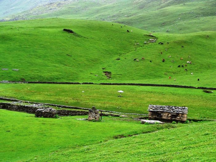 Bedini Bugyal Trek - Trekking in Uttarakhand