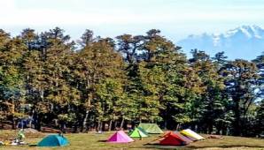 Binsar