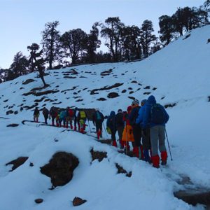Kedarkantha Trek