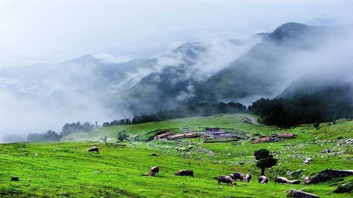 A detailed trip to Chopta