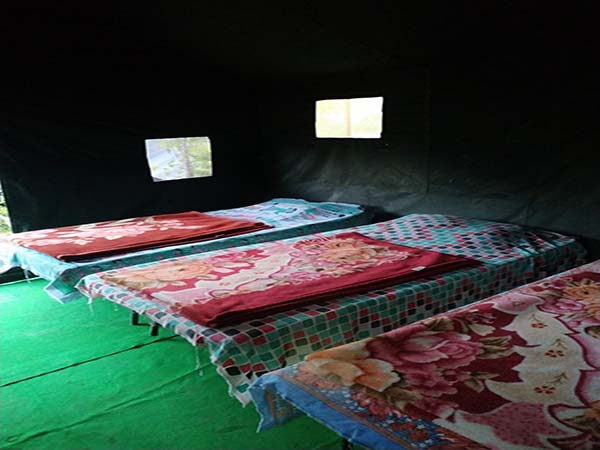 Camp Nature View
