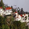 Woodsvilla Resort 