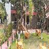 The Dukes Den Resort 