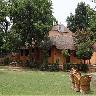 Kyari Corbett Resort