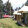 Chopta Meadows Heritage Camps