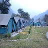 Camp Wildex