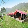 Camp Majestic