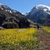 Har Ki Dun Trek