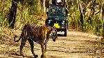 1549521706_0corbett.jpg