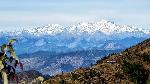 1603246534_0_camping-in-kanatal.jpg